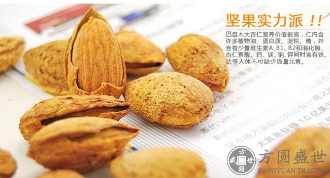 巴旦木(图2)
