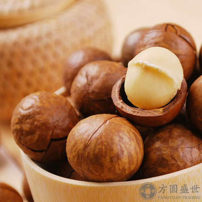 夏威夷果(图1)